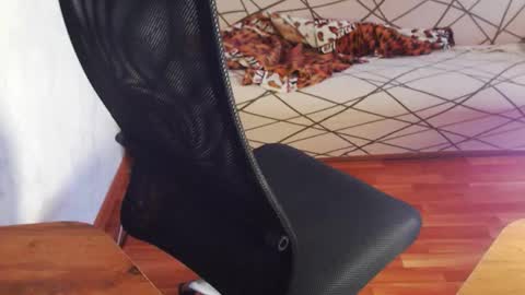 Snapshot of trone41 chatting on February 3, 2026, 7:02 am I POST MY FUCKING VIDEOS AND PICS online show from February 3, 2026, 7:02 am