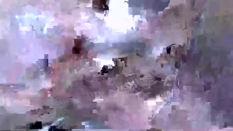 troy1965 online show from April 12, 2026, 5:45 am