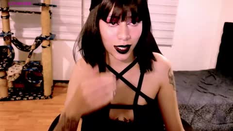 Cait online show from December 20, 2025, 4:41 am