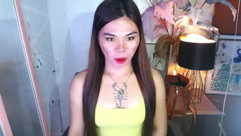 tsnovy online show from December 13, 2024, 7:15 am