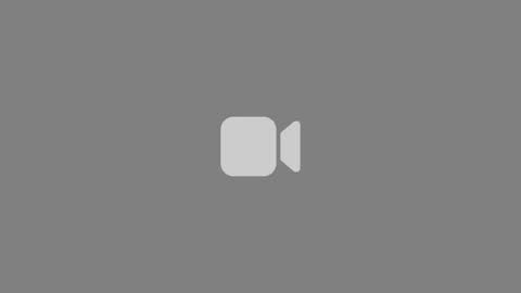 tumbafox1 online show from May 12, 2026, 4:09 am