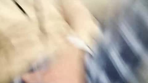 TunisienSexyGuy online show from February 11, 2025, 6:22 pm