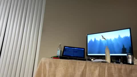 Snapshot of turnmeout2nite chatting on January 29, 2025, 11:04 pm Duke Dillinger online show from January 29, 2025, 11:04 pm