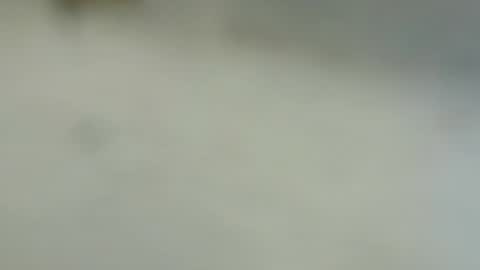 tutu1723153673 online show from January 6, 2025, 6:10 pm