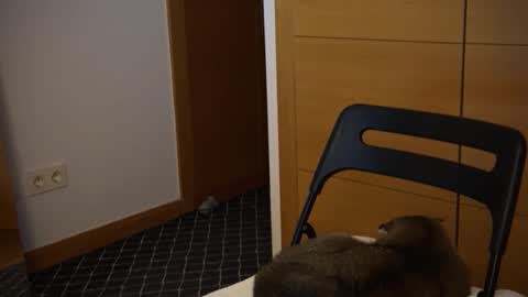 twinksweetlovehot online show from December 5, 2024, 5:06 pm