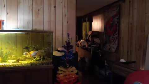 twocumkerry online show from February 13, 2025, 8:06 am