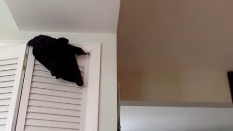 Tyler Durden online show from March 2, 2025, 1:38 pm