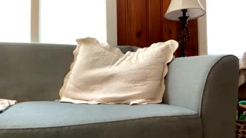 Tyler Sands online show from March 2, 2025, 3:05 pm