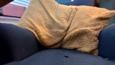 ukclive online show from February 5, 2025, 1:22 pm