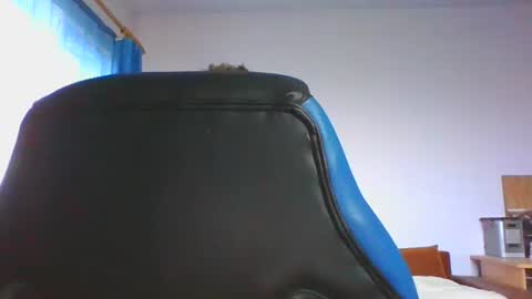 ulmeni4 online show from December 4, 2025, 6:44 am