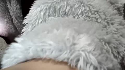 unknoown98 online show from December 14, 2024, 11:12 pm