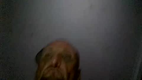 uplatenhorny2379 online show from December 20, 2025, 1:51 pm