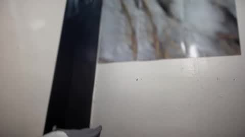 Snapshot of ur_new_obsession chatting on December 16, 2025, 9:03 am ur_new_obsession online show from December 16, 2025, 9:03 am