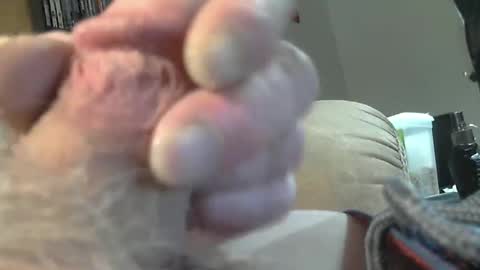 lookin for free fun online show from February 19, 2025, 8:31 pm