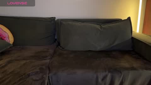 Snapshot of vaiee chatting on December 31, 2024, 4:57 pm Valery online show from December 31, 2024, 4:57 pm