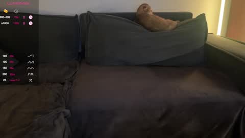 Snapshot of vaiee chatting on February 20, 2025, 7:52 pm Valery online show from February 20, 2025, 7:52 pm