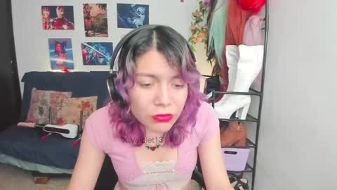 Snapshot of vaioletuwu chatting on April 27, 2026, 2:48 pm Vaiolet1314 online show from April 27, 2026, 2:48 pm
