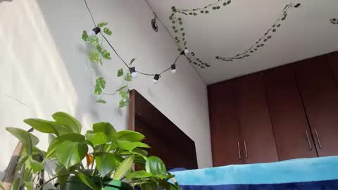   Valentin  independent Cam Boy     online show from March 11, 2025, 12:39 pm