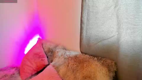 Snapshot of valery_kils chatting on May 11, 2026, 12:00 pm VALERY online show from May 11, 2026, 12:00 pm