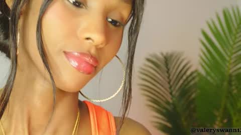 Snapshot of valery_swan1 chatting on January 19, 2026, 3:54 am Valery swan1 online show from January 19, 2026, 3:54 am