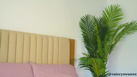 Snapshot of valery_swan1 chatting on February 11, 2026, 3:44 am Valery swan1 online show from February 11, 2026, 3:44 am