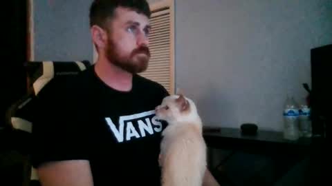 Vandal2021 online show from November 20, 2025, 12:11 am