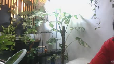 vanessa__foxx online show from December 5, 2024, 4:44 pm