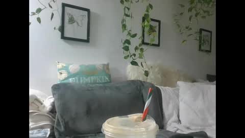 vanessa__foxx online show from December 11, 2024, 10:36 am