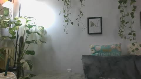 vanessa__foxx online show from December 16, 2024, 3:30 am