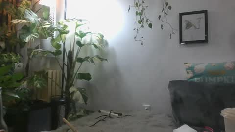 vanessa__foxx online show from December 16, 2024, 6:32 am