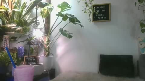 vanessa__foxx online show from March 1, 2025, 7:26 pm