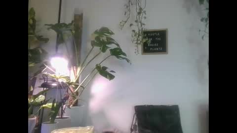 vanessa__foxx online show from March 6, 2025, 4:30 am