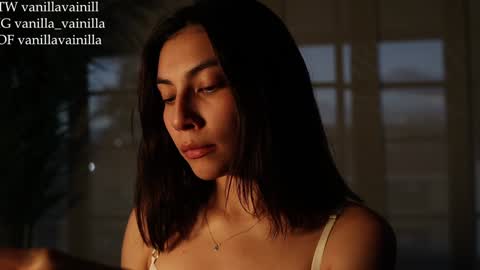 Snapshot of vanilla_velvet chatting on January 30, 2025, 11:02 pm Annabet online show from January 30, 2025, 11:02 pm