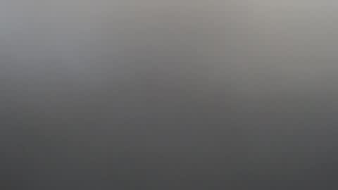 velvetteasexx online show from February 2, 2026, 1:26 am