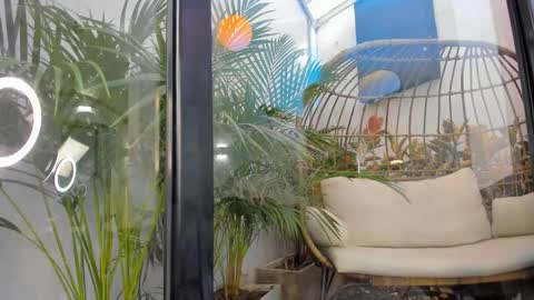 VENUS online show from November 20, 2025, 11:43 am