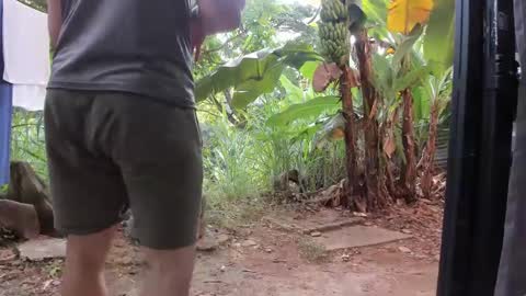 venus ... zeus sheer  online show from January 20, 2025, 1:11 pm