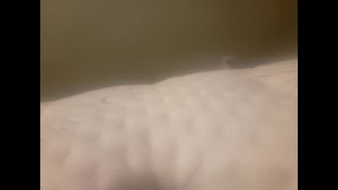 vic171477 online show from February 1, 2026, 12:15 pm