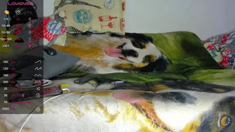 vicky manuela online show from January 29, 2025, 12:54 am