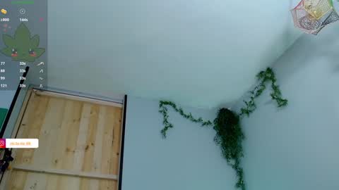 Victoria   online show from January 27, 2025, 5:15 pm