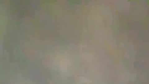 viennaguy79 online show from March 3, 2026, 7:47 am