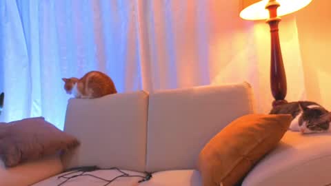 Snapshot of viiolet_collins chatting on June 15, 2026, 2:25 am VIOLET online show from June 15, 2026, 2:25 am