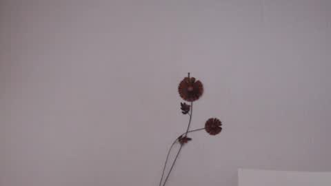 Snapshot of viiolettaaa chatting on June 27, 2026, 10:37 pm viiolettaaa online show from June 27, 2026, 10:37 pm