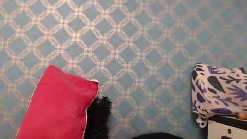 Snapshot of violeta_cute18 chatting on January 10, 2025, 10:15 pm Violeta online show from January 10, 2025, 10:15 pm