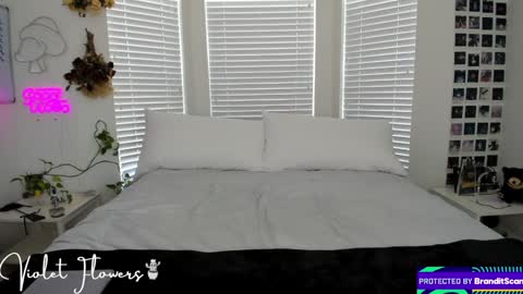 Violet Flowers online show from September 8, 2025, 5:12 pm