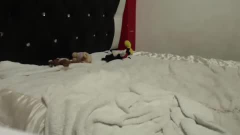 melissa online show from October 24, 2025, 5:04 am