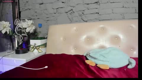 Snapshot of vixvixenn chatting on March 9, 2025, 11:25 am ANA online show from March 9, 2025, 11:25 am