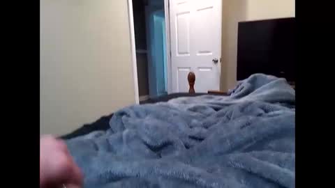 Snapshot of vladedivac1998 chatting on March 31, 2026, 6:19 pm vladedivac1998 online show from March 31, 2026, 6:19 pm