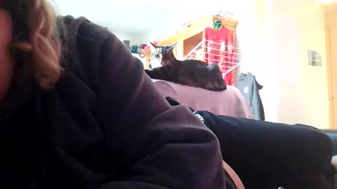 voetbal30 online show from January 17, 2026, 11:59 am