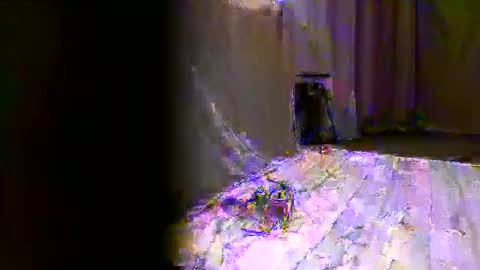 Snapshot of vpetkah chatting on November 22, 2025, 2:54 am vpetkah online show from November 22, 2025, 2:54 am