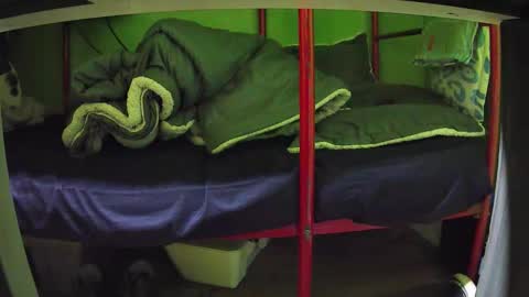 Kentaro online show from March 24, 2026, 5:01 am